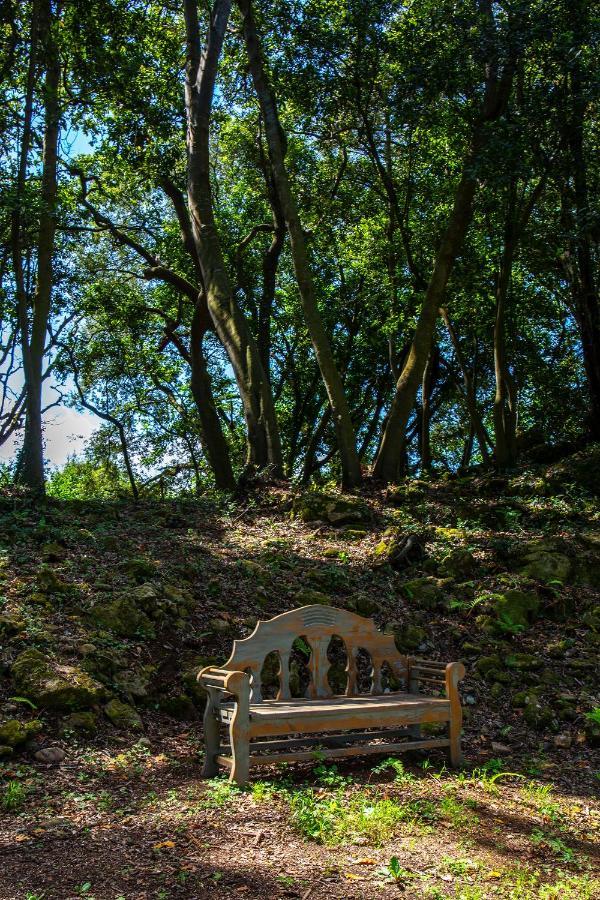 Vibe Luxury Cabins أرنويرو المظهر الخارجي الصورة