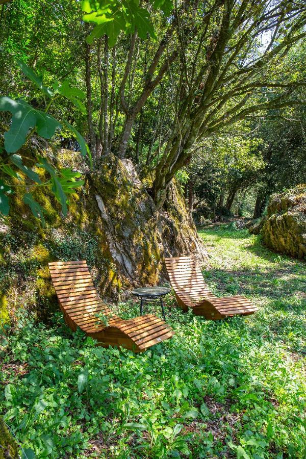 Vibe Luxury Cabins أرنويرو المظهر الخارجي الصورة